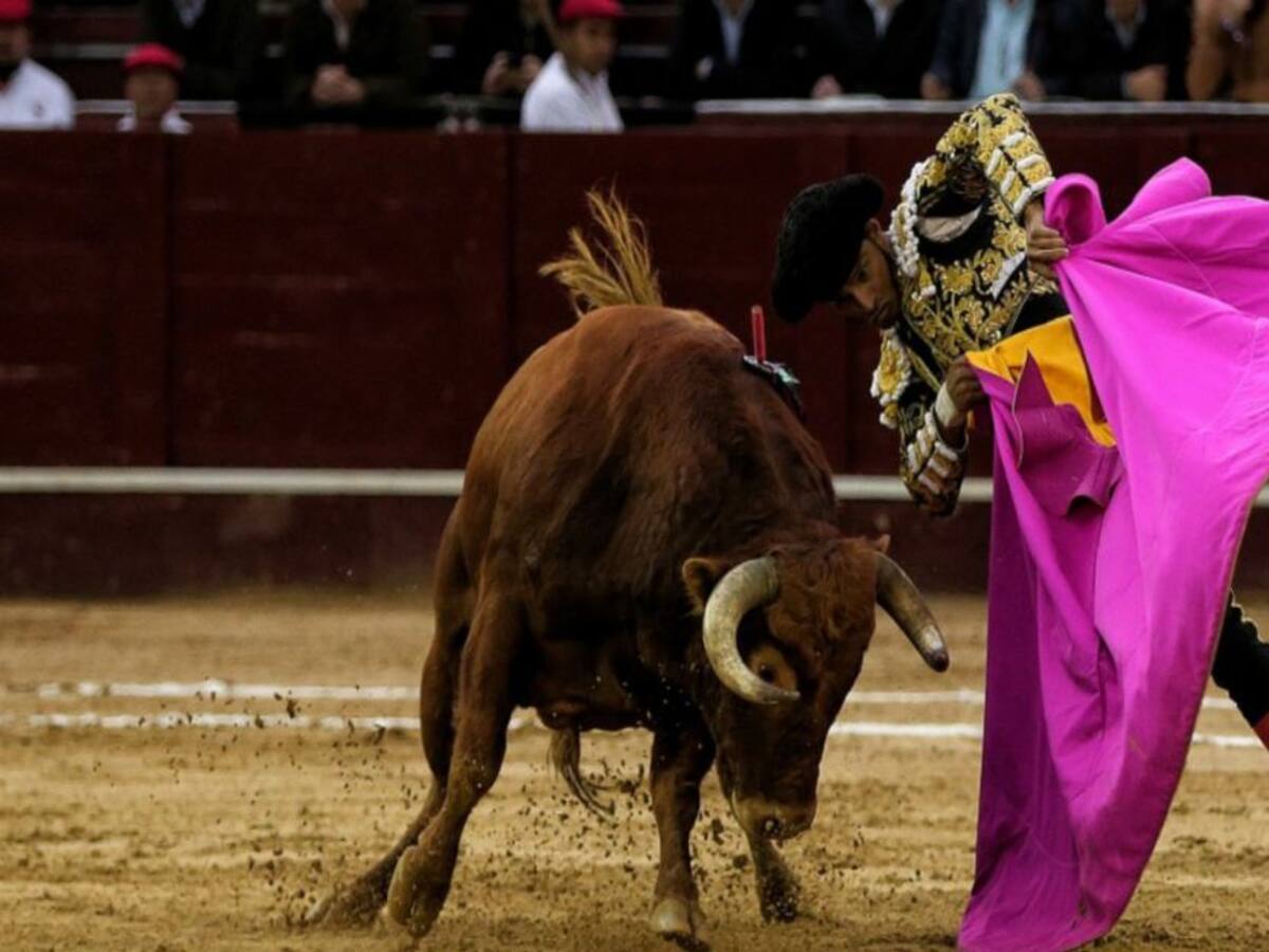 Insisten en cancelar corrida de toros en Charalá