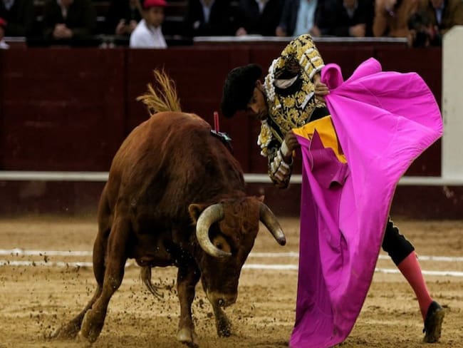 Insisten en cancelar corrida de toros en Charalá