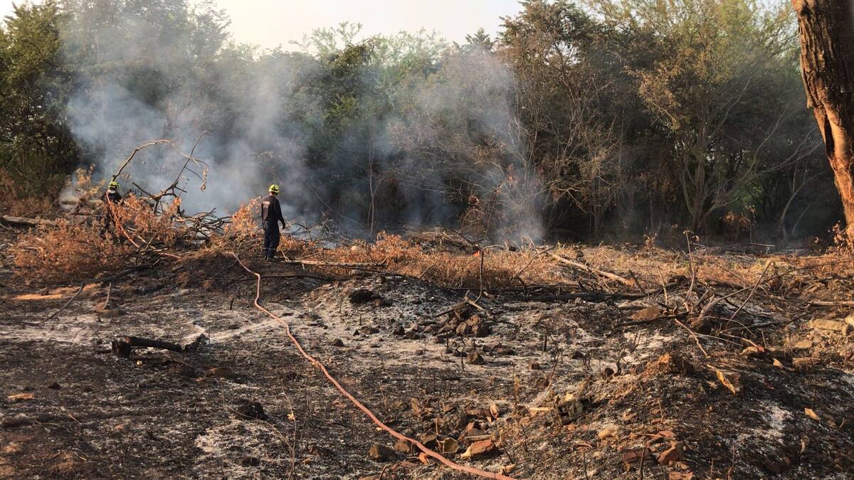 Continúan incendios forestales en la zona urbana de Neiva