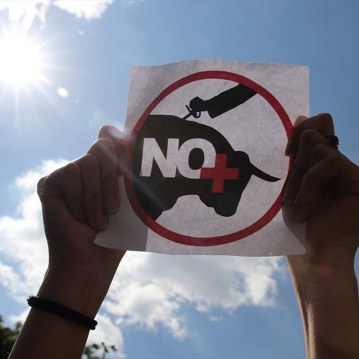 Se hunde en el Congreso proyecto que prohibe prácticas taurinas
