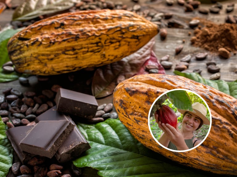 Una mujer explorando por un cultivo de cacao y de fondo el cacao en diversas presentaciones (Fotos vía Getty Images)