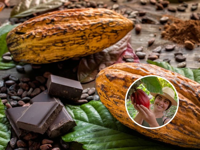 Una mujer explorando por un cultivo de cacao y de fondo el cacao en diversas presentaciones (Fotos vía Getty Images)
