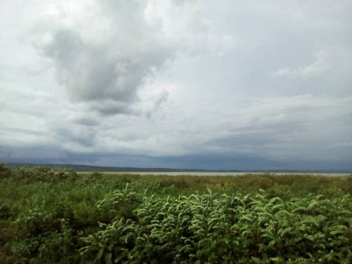 Pescar en el Embalse del Guájaro es un acto de fe