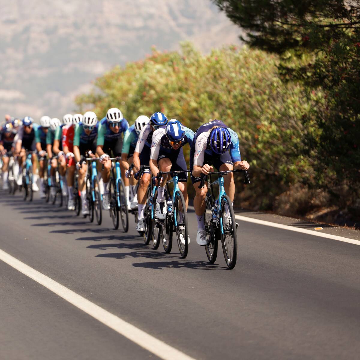🔴 Etapa 9 Vuelta a España 2024 EN VIVO: Minuto a minuto de Nairo, los colombianos y más