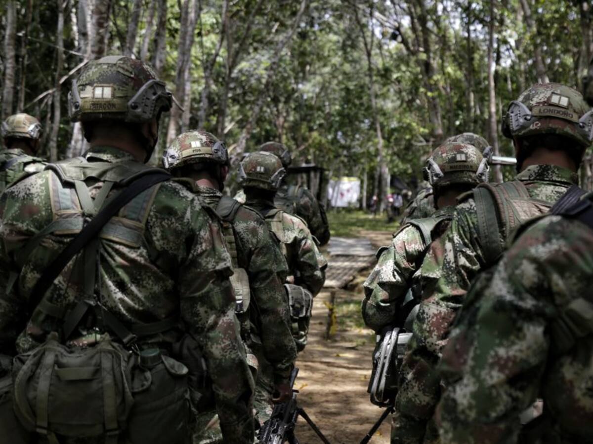 En operativo del Ejército se desmovilizó un importante integrante del ELN