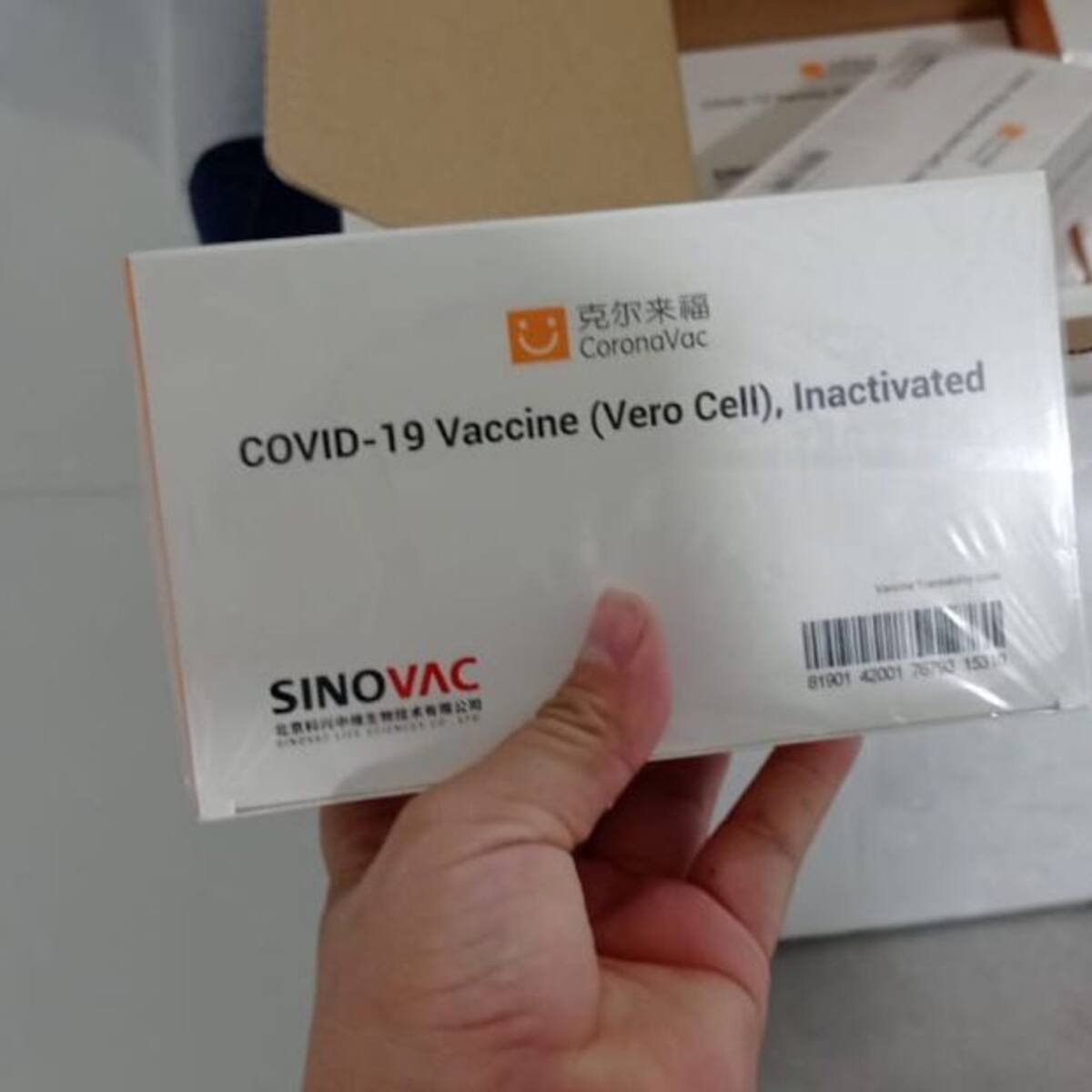 Llegan 730 vacunas de Sinovac para adultos mayores de Santa Marta