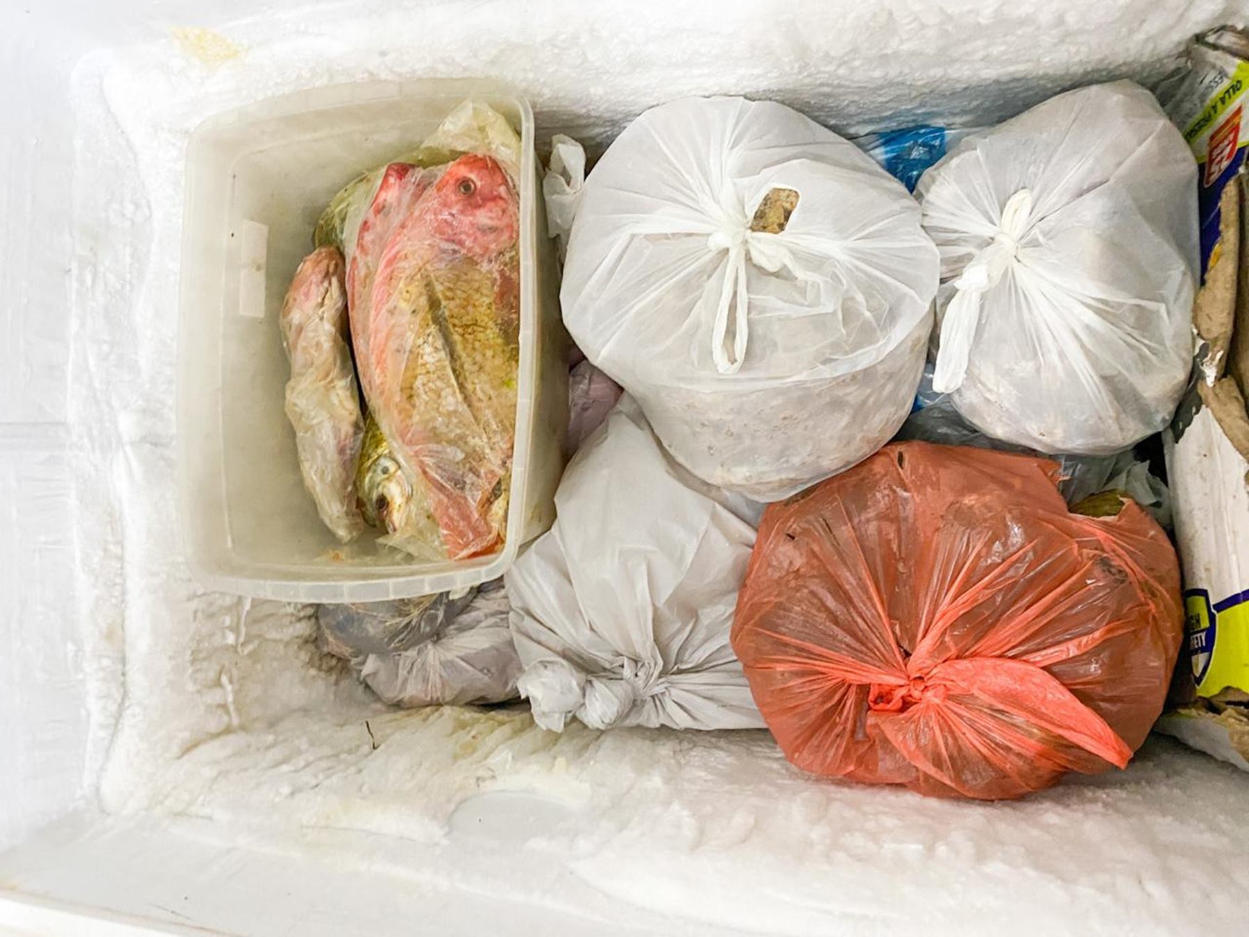 Comida en mal estado en un restaurante de Ibagué