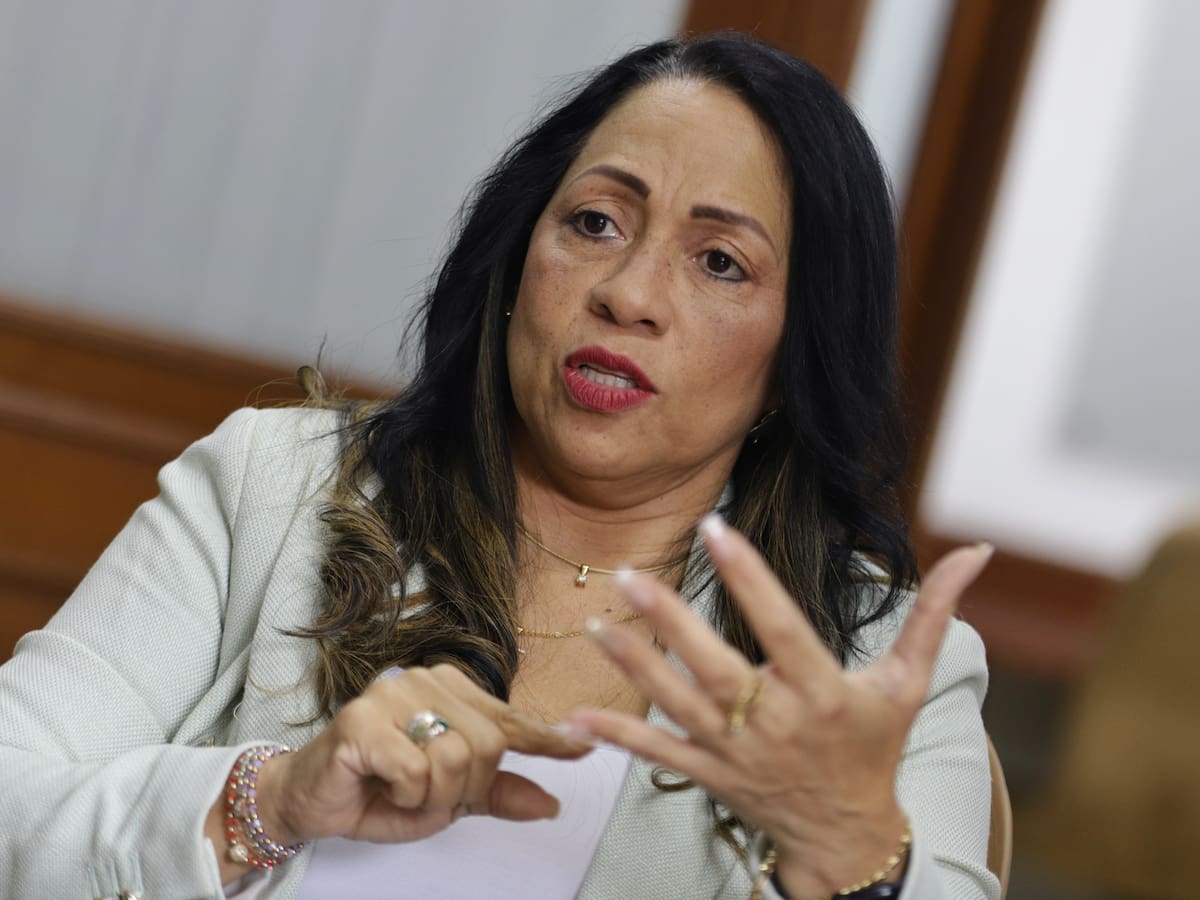 Sigue firme inhabilidad de Marelen Castillo en el CNE: Tribunal negó tutela