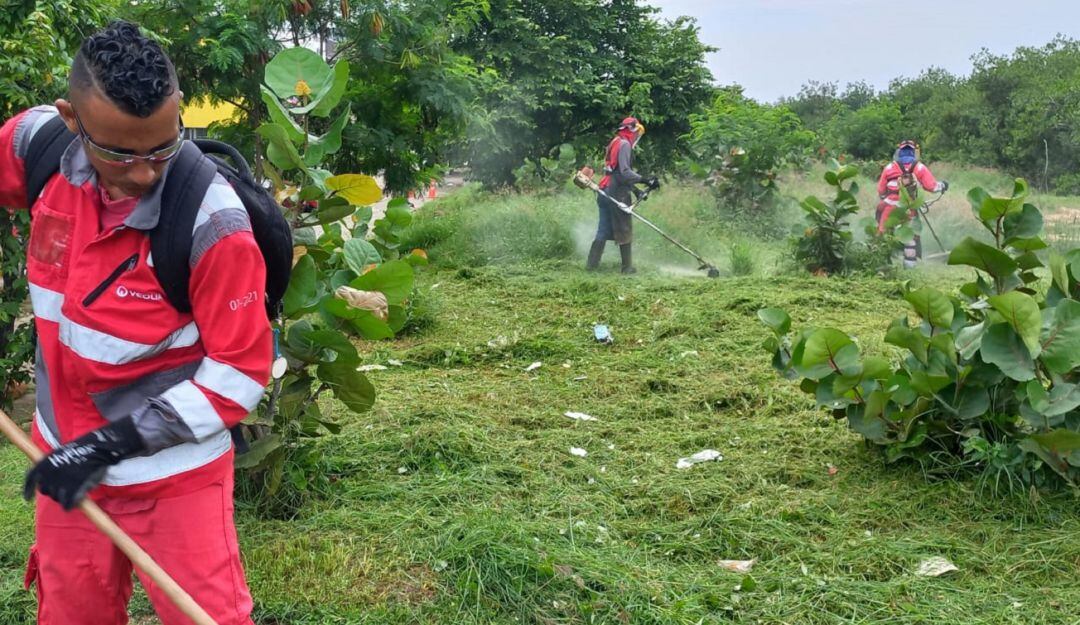También se hará un mantenimiento a la zona verde ubicada frente al centro comercial Caribe Plaza