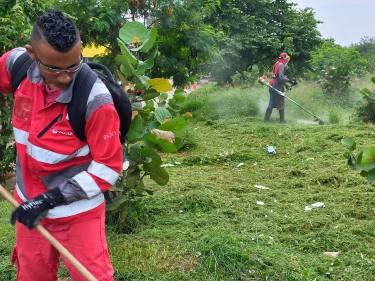 Realizarán jornadas de desalojo de desechos en manglares de av. El Lago