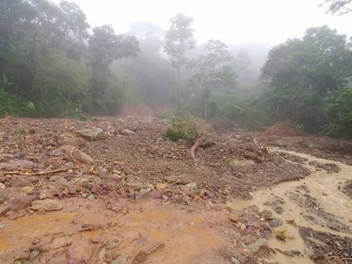 Varios derrumbes afectan la vía Prado – Dolores en Tolima