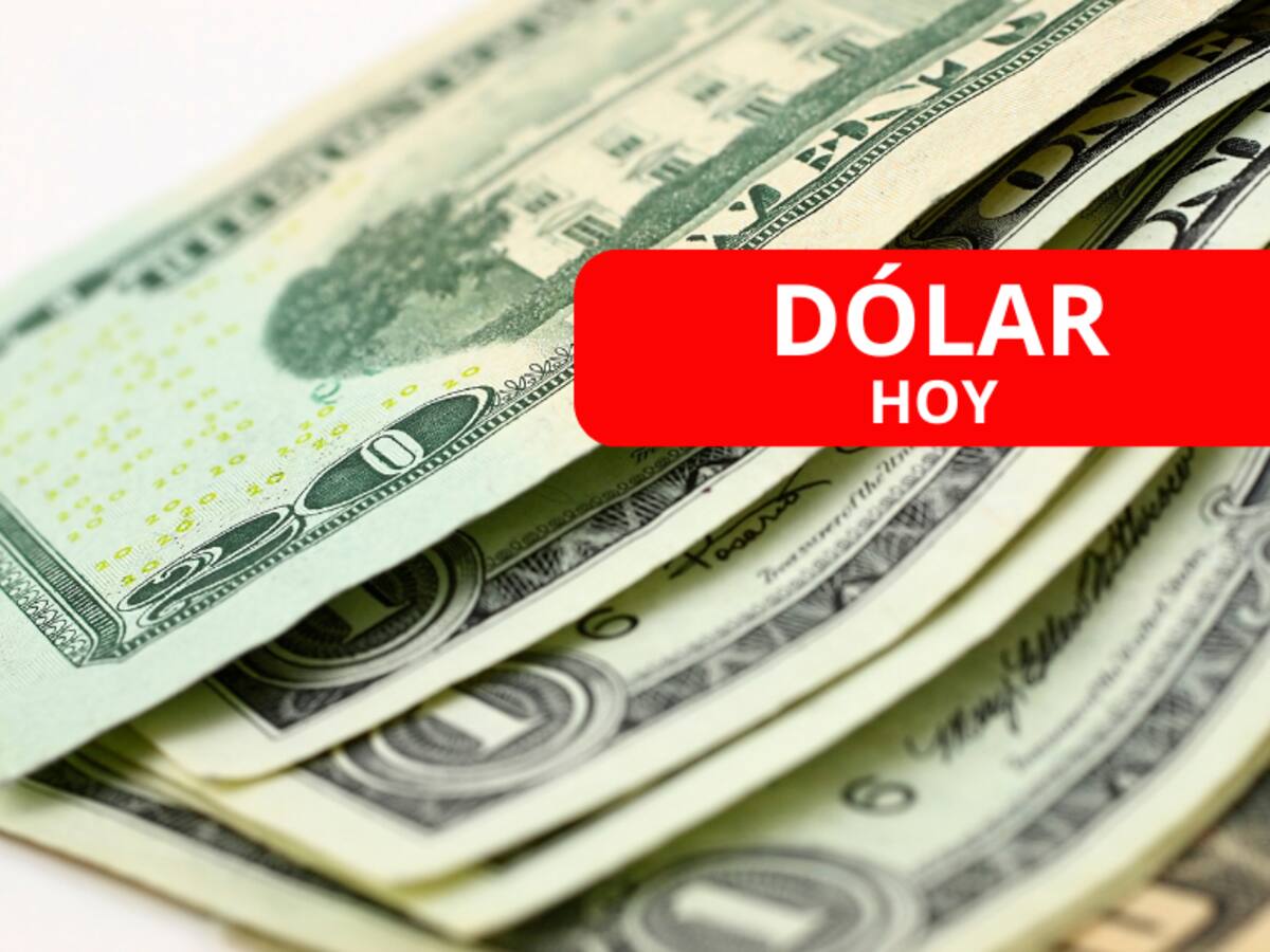 Así cierra precio del dólar en Colombia la primera quincena de agosto: ¿sigue bajando?