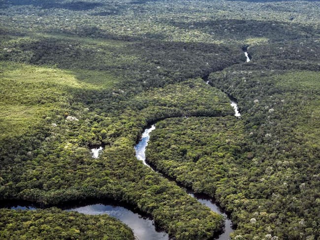 Así está el Amazonas de Colombia