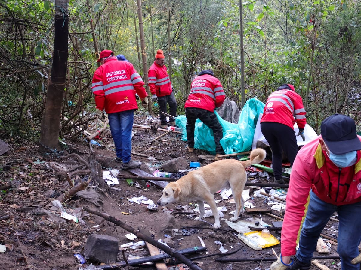 Intervienen el mirador La Paz en Bogotá: desmontan 18 cambuches y retiran 56 toneladas