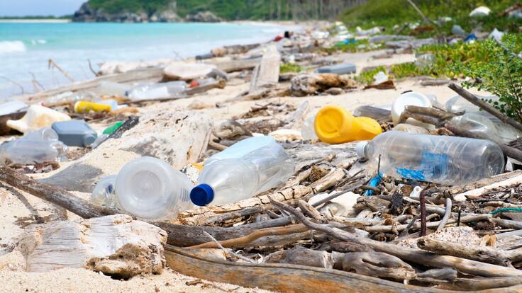 ‘Tratado Global de Plásticos’ ¿Cómo reducir el impacto de este material?