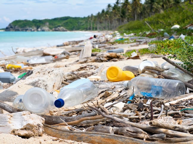 ‘Tratado Global de Plásticos’ ¿Cómo reducir el impacto de este material?