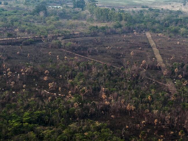 Equipo de bosque de ministerio evaluará deforestación en Norte de Santander