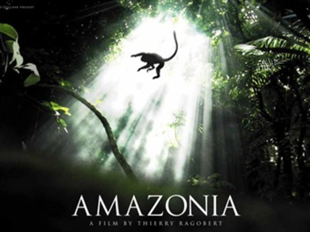 Las peripecias de un mono llevan el Festival de Cine de Río a la selva