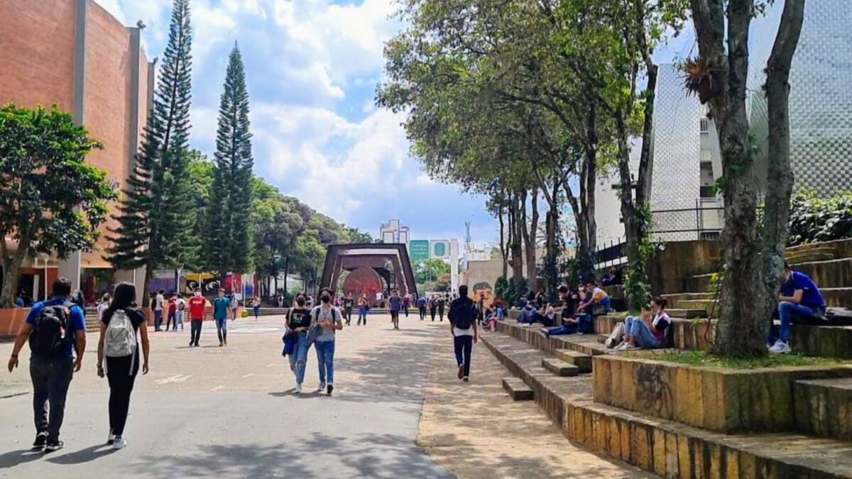 Padre de familia denuncia irregularidades en Matrícula Cero