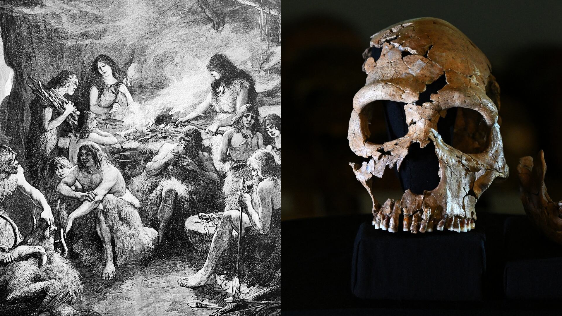 Neandertales - Getty Images