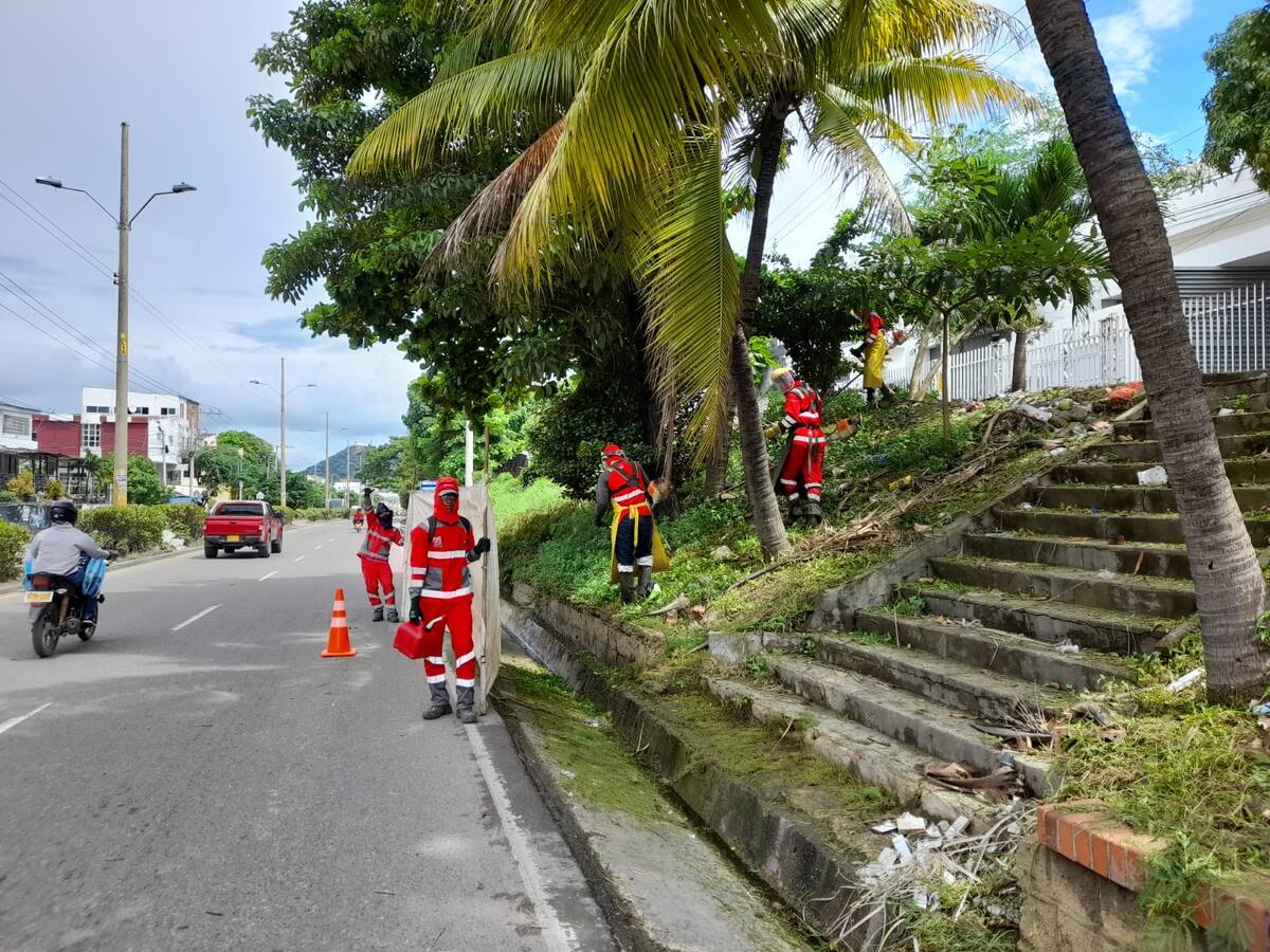 Actividad ambiental de Veolia en la Av. Crisanto Luque