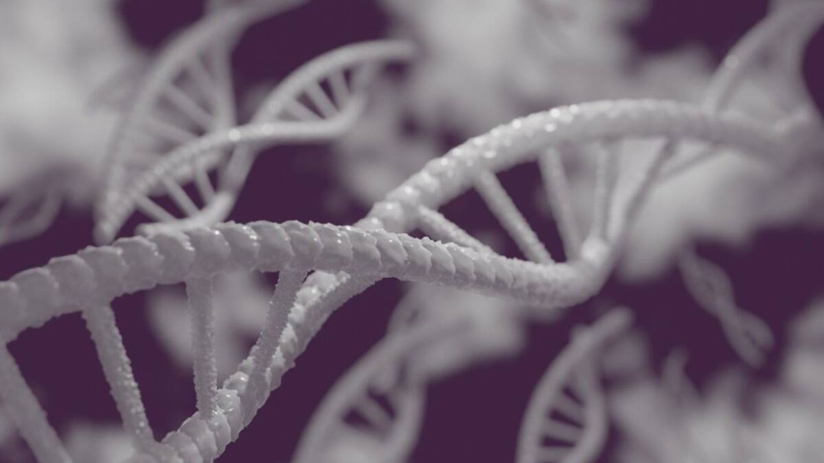 ¿Qué son y cómo funcionan las células madre?