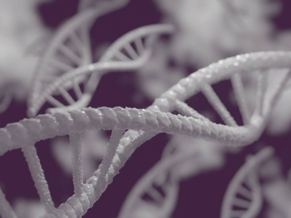 ¿Qué son y cómo funcionan las células madre?