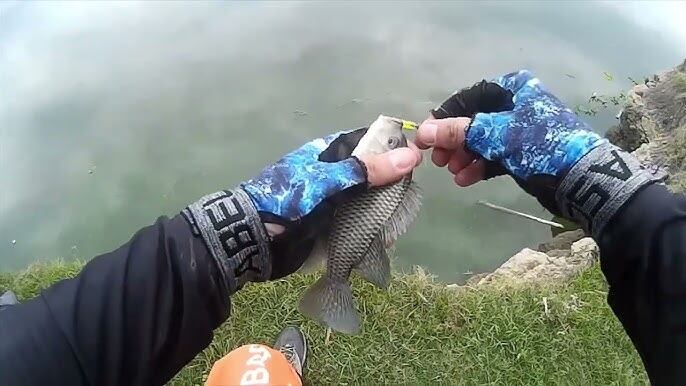 Los pescadores continuarán la manifestación. Foto Relacionada.