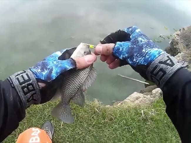 Los pescadores continuarán la manifestación. Foto Relacionada.