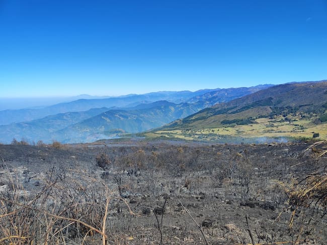 Se reactivó incendio forestal en el páramo de Santurbán