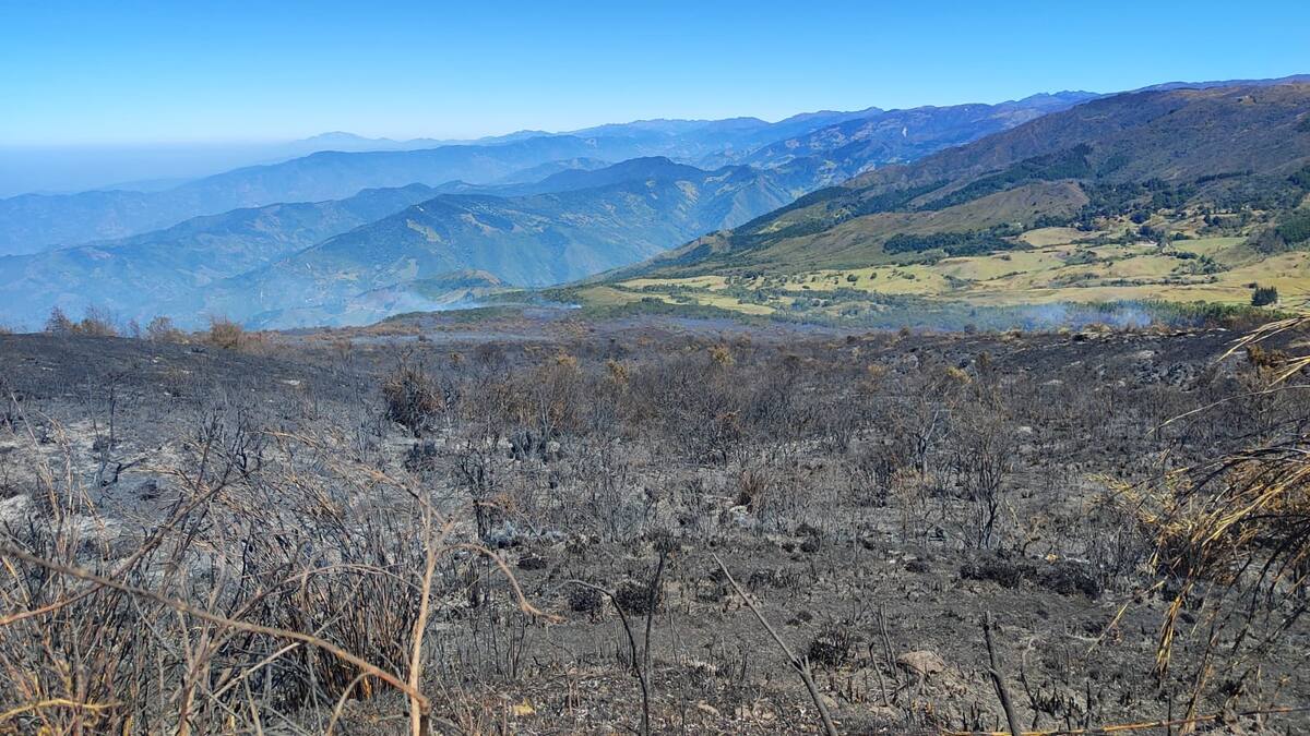 Se reactivó incendio forestal en el páramo de Santurbán