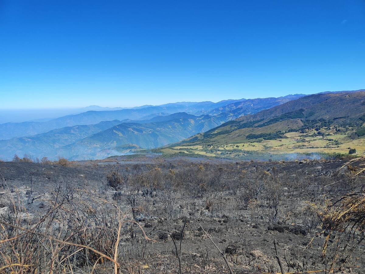 Se reactivó incendio forestal en el páramo de Santurbán