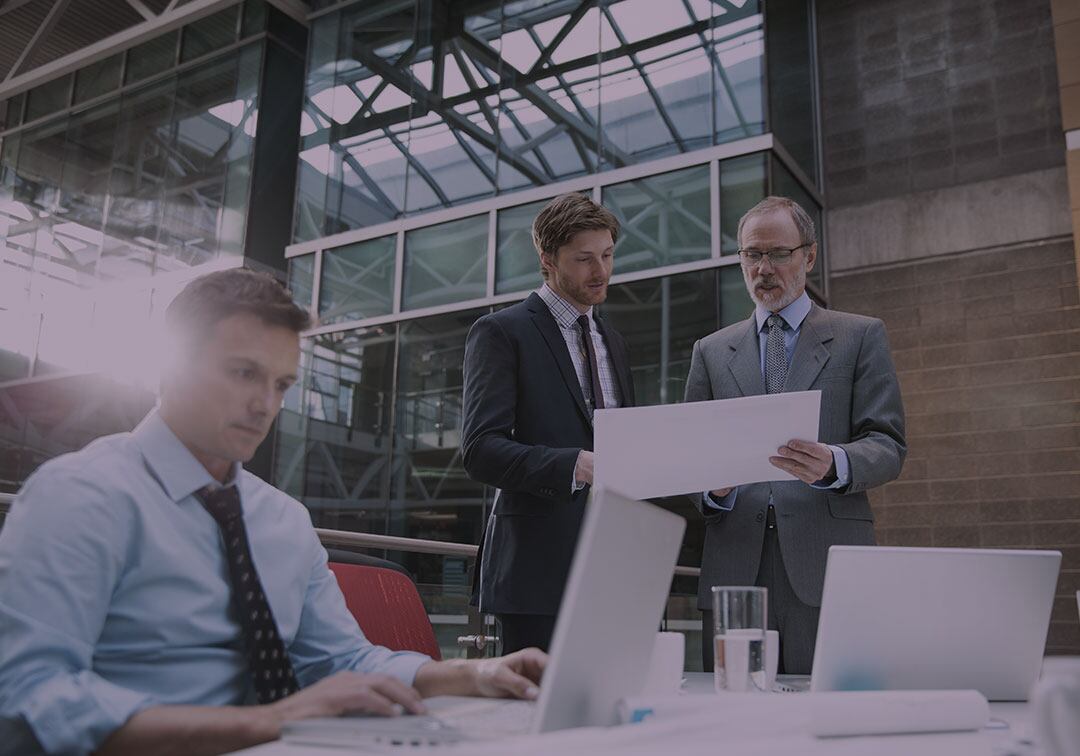 Cortesía : Movistar Trends