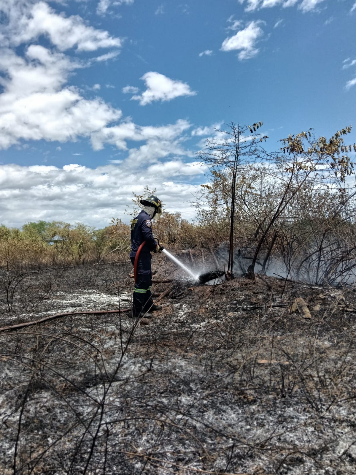Varios de estos incendios habrían sido provocados por acciones de la comunidad. Foto Bomberos Neiva.