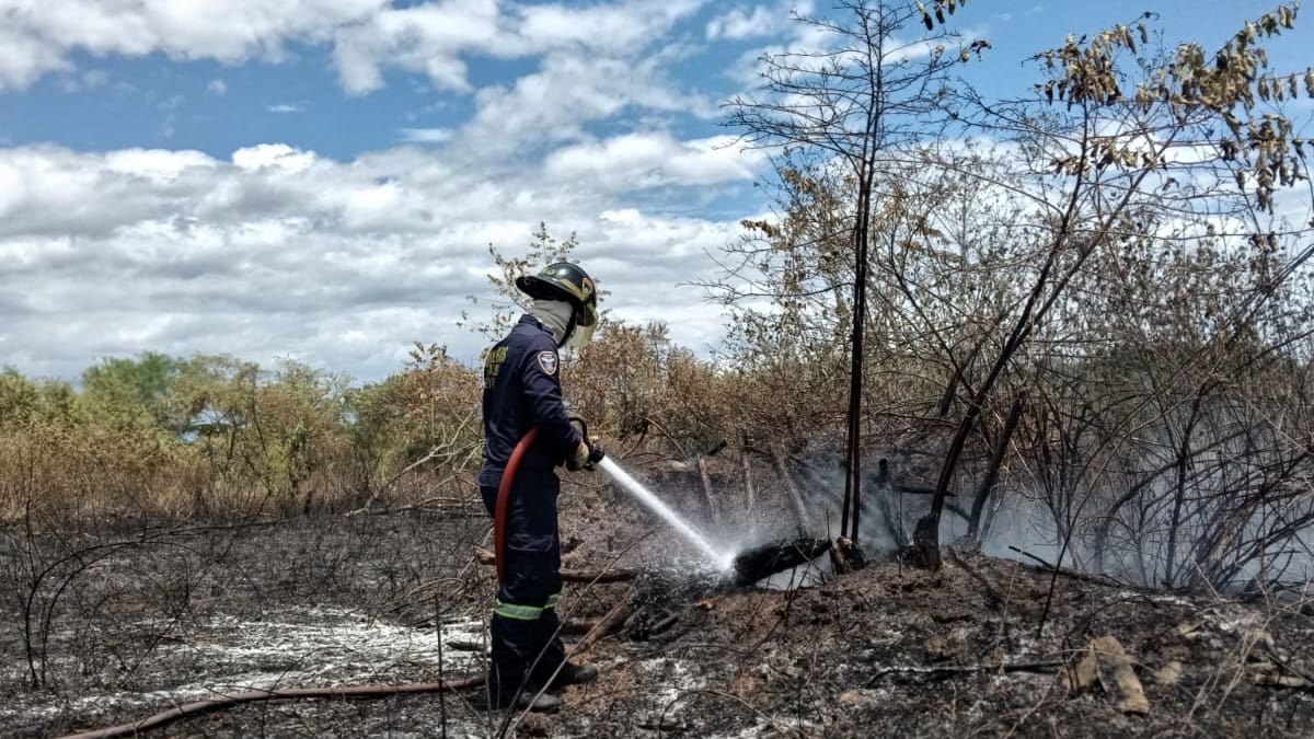 Incendios forestales en Neiva ya consumen cerca de 130 hectáreas en una sola semana