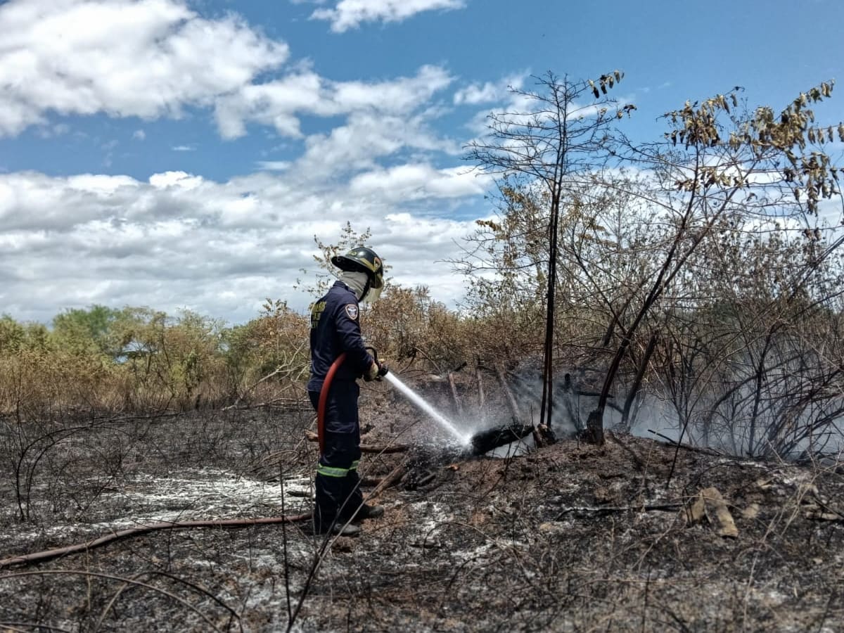 Incendios forestales en Neiva ya consumen cerca de 130 hectáreas en una sola semana