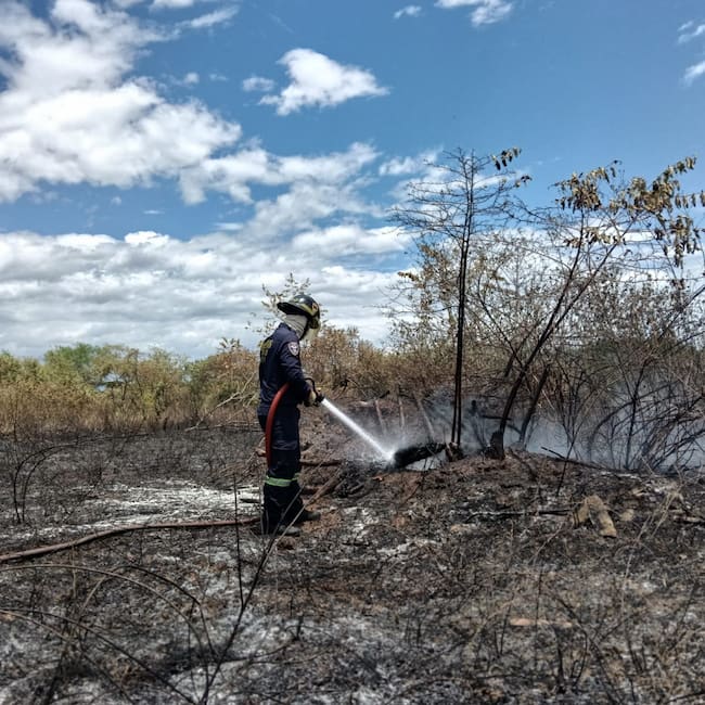 Varios de estos incendios habrían sido provocados por acciones de la comunidad. Foto Bomberos Neiva.