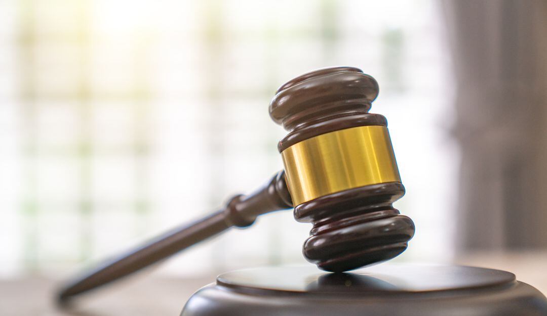 Imagen de referencia 