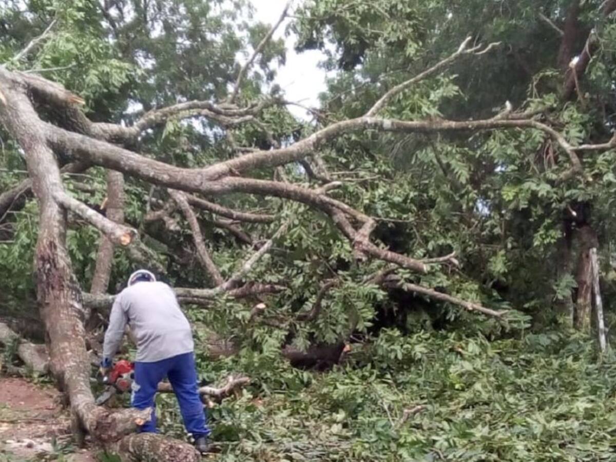 Vendaval y lluvias dejan sin energía eléctrica a 9 municipios de Córdoba
