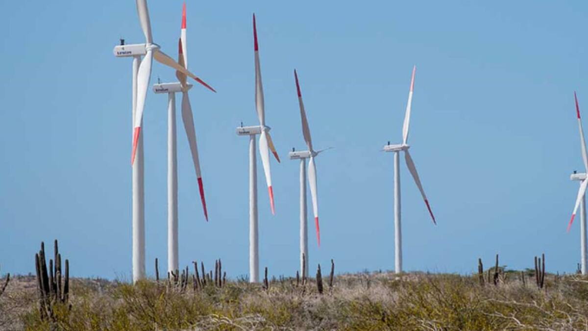 Investigadora advierte sobre los efectos que tienen los impactos ambientales acumulativos en los megaproyectos energéticos del país