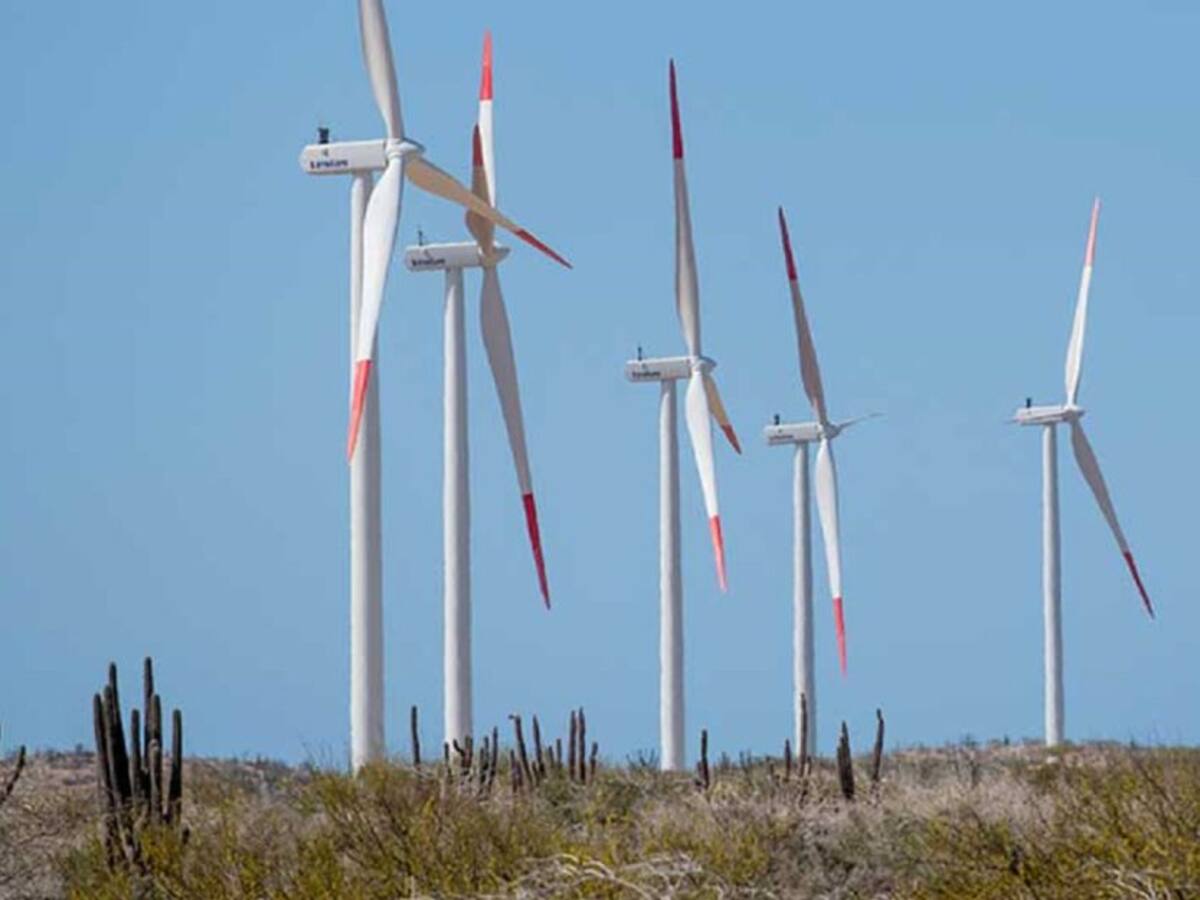 Impactos ambientales acumulativos no se tienen en cuenta en megaproyectos