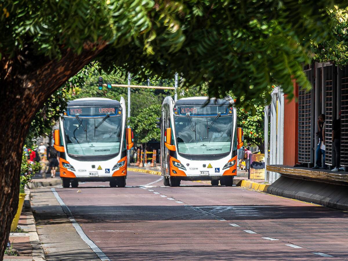 TransCaribe es una marca registrada: Superindustria concedió su registro