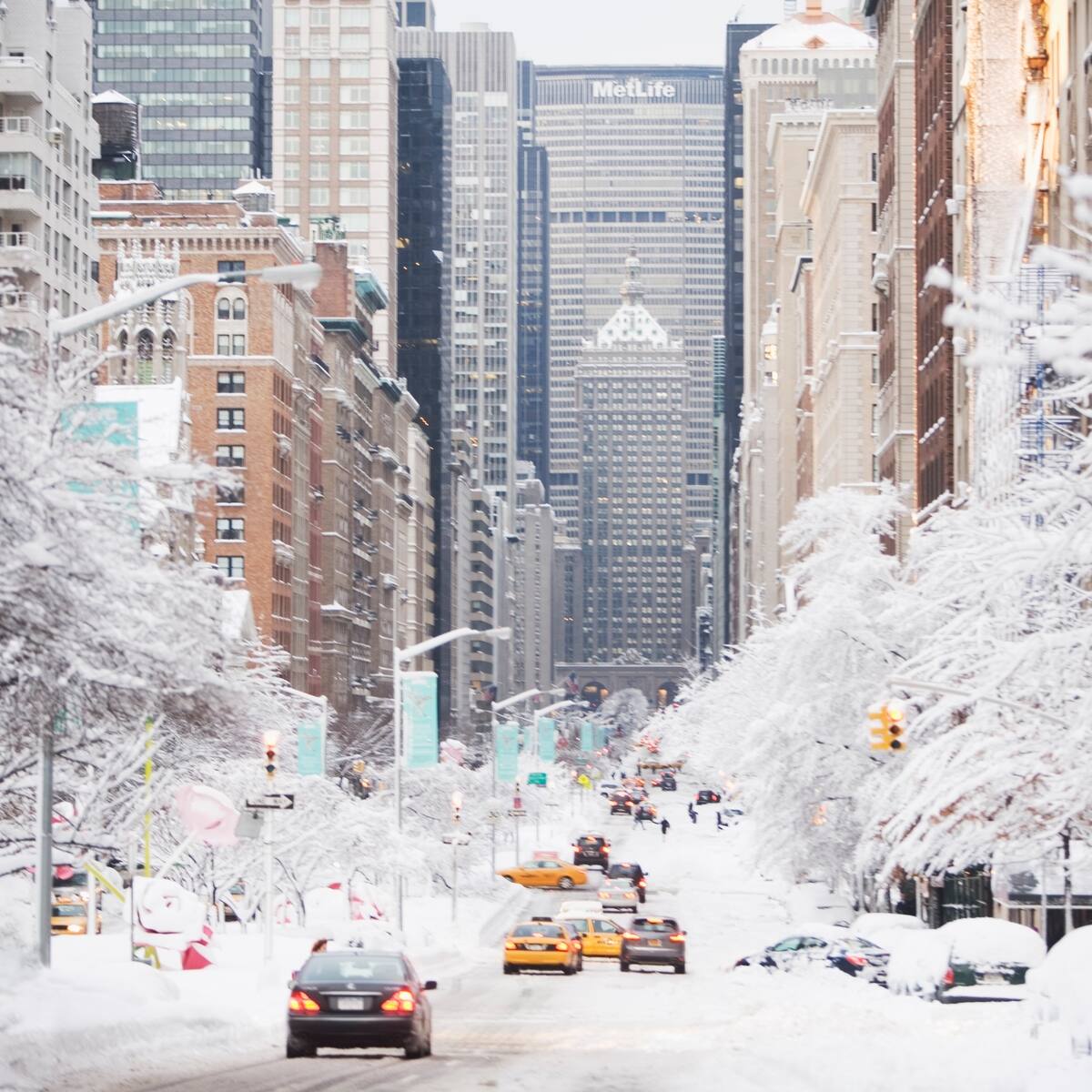 ¿Cuándo empezará a nevar en Estados Unidos?: Estas son las ciudades y fechas donde caerá nieve