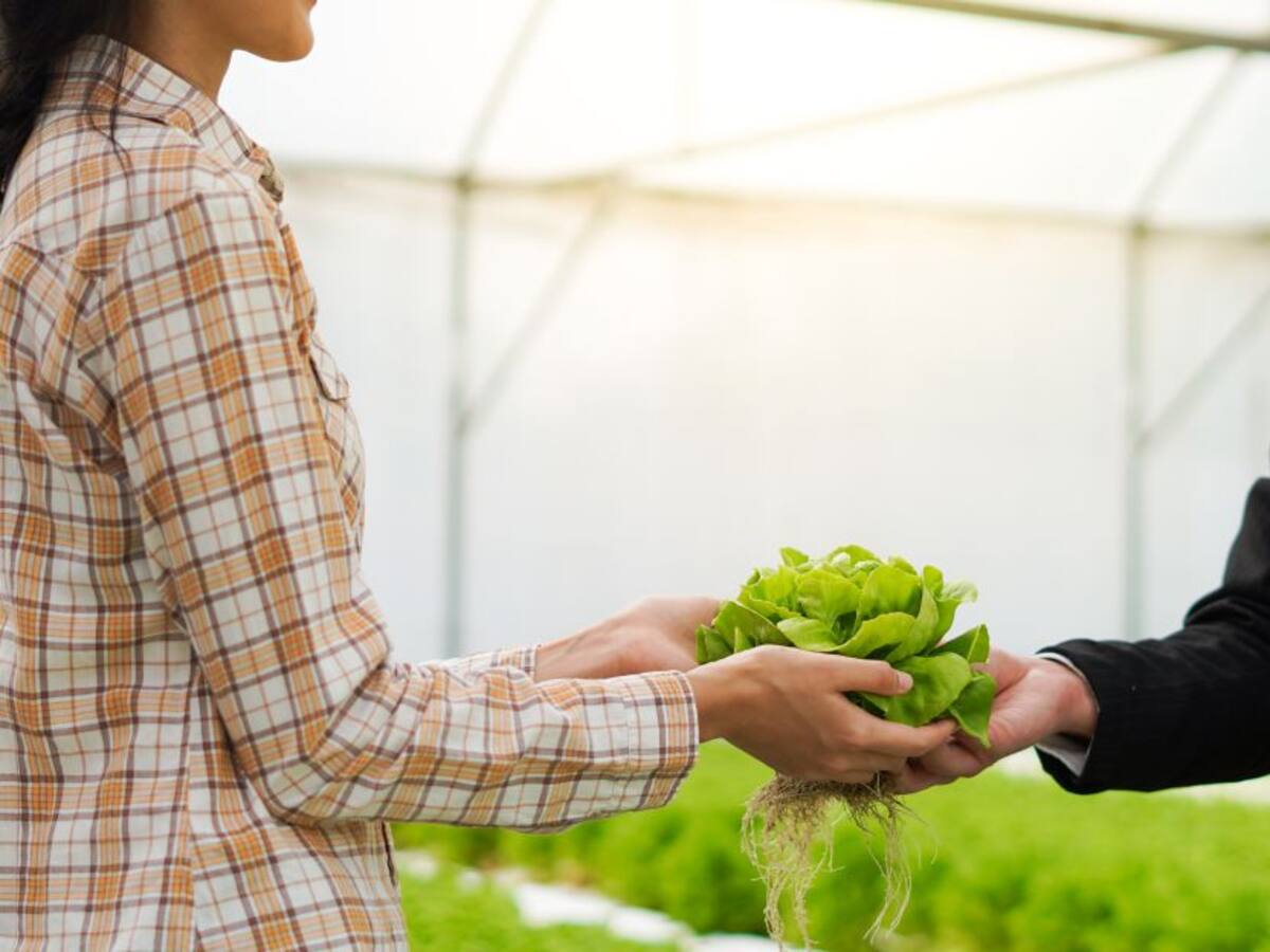 Destinan recursos para impulsar programa de aseguramiento en el agro
