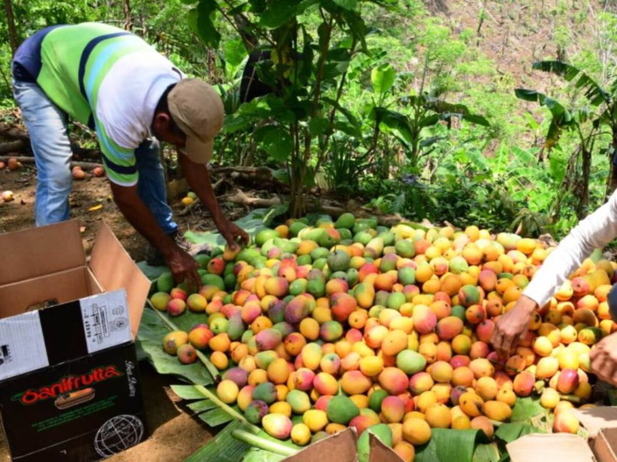 Bolívar Primero donó 15 toneladas de productos a Arquidiócesis de Cartagena
