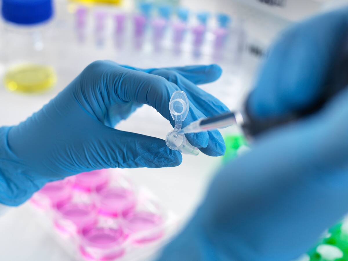 ¿Qué son las células madre y cómo donarlas para salvar vidas?