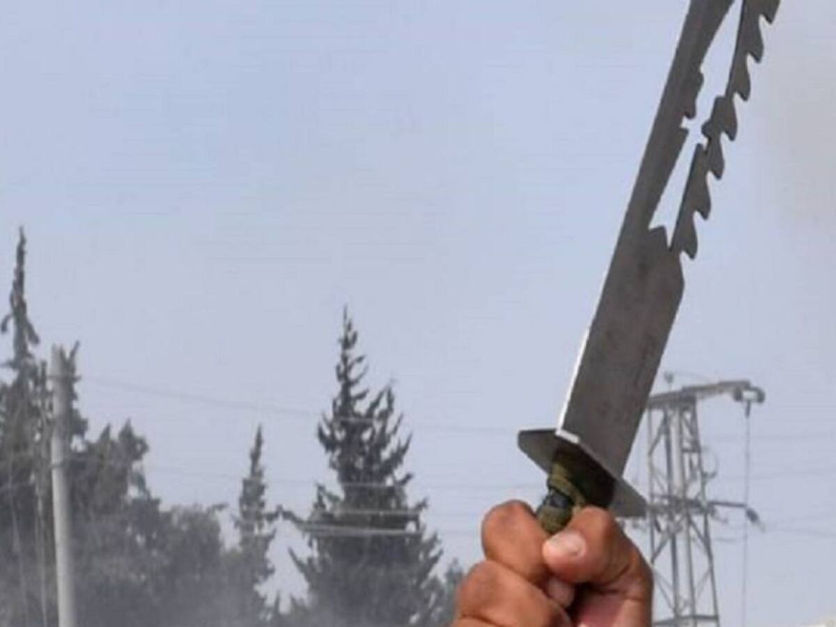 2 jóvenes y 4 adultos buscados por propinarle 71 puñaladas a una menor