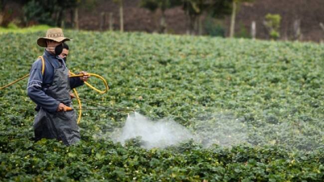Fumigaciones
