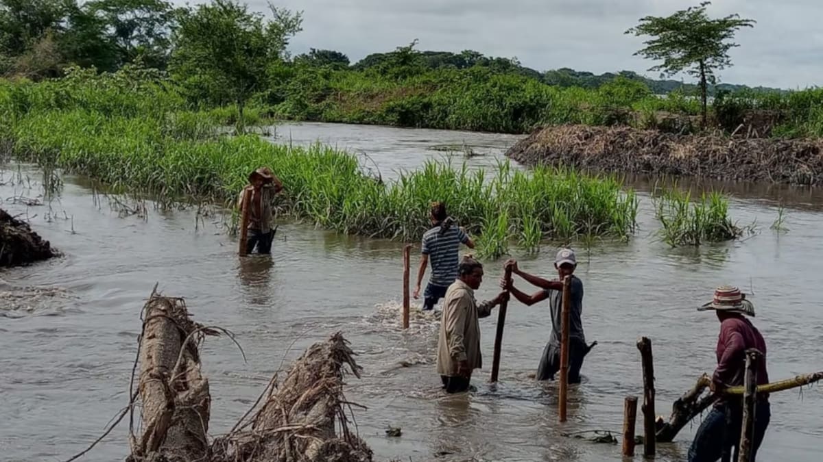 Luis Albeiro Torres, Líder Chingalé - Puerto Wilches, Santander
