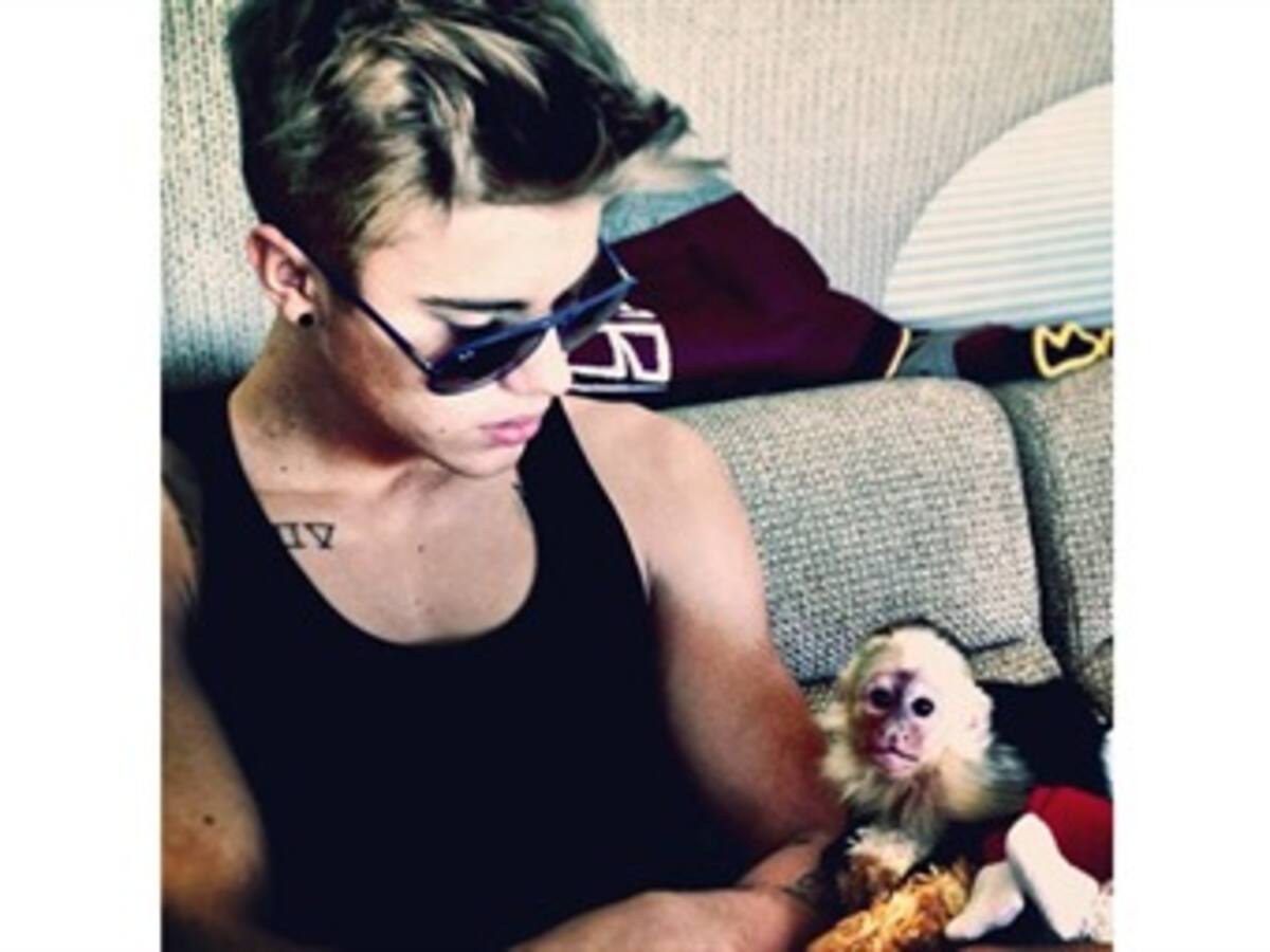 Justin Bieber tiene hasta la medianoche para reclamar a su mono